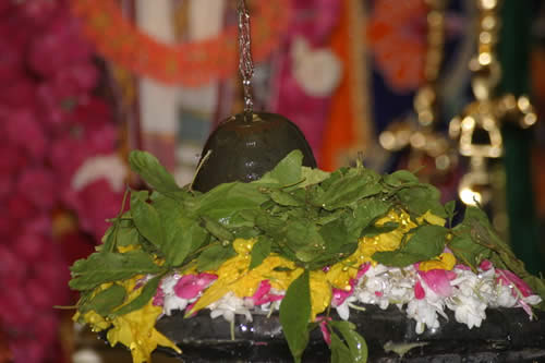 Lord Shiva it is suggested that we should worship him with Bilva Dalam, i.e Bael ... to please him we need to have a Bael tree to pluck the leaves and perform puja.
